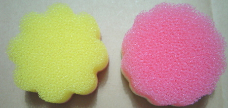 pondelion-sponge3.jpg